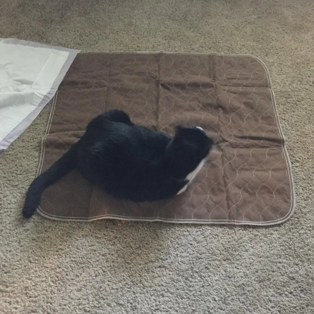 Reusable dog potty pads